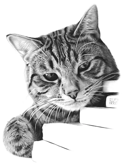 Realistic Pencil Portrait of a Relaxed Tabby Cat Resting resting its head and paw on a stack of books Pencil portrait of a relaxed tabby cat resting its head and paw on a stack of books, showing detailed fur patterns, soft whiskers, and a calm expression.