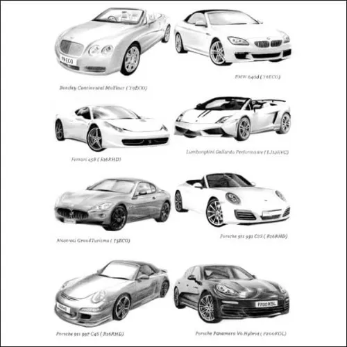 Grid of realistic pencil drawings showing a range of classic and performance cars, each carefully shaded and detailed.